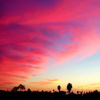 Profile Picture of Gillian Foster (@gilliankfoster) on Twitter