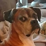 Profile Picture of Sean Danielson (@sean.danielson) on Instagram