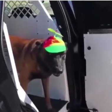 Cade Holland - Twitter Profile Picture of Cade Holland (@CadeHolland2) on Twitter