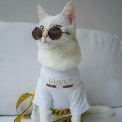 Profile Picture of Damian O Brien (@DamianOBrien_) on Twitter