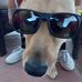 Profile Picture of Missy Oberdieck Lambing (@missy.lambing) on Facebook