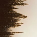 Profile Picture of Nathan Babbel (@el_torre_de_babbel) on Instagram