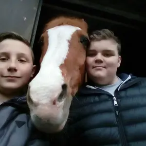 Profile Picture of Ryan_Archambeau (@ryan_archambeau) on Tiktok