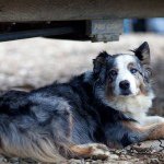 Profile Picture of Brandon Luke Wright (@brad_wright03) on Instagram