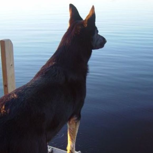 Profile Picture of Gillian Mewhiney (@gillianmewhiney) on Poshmark