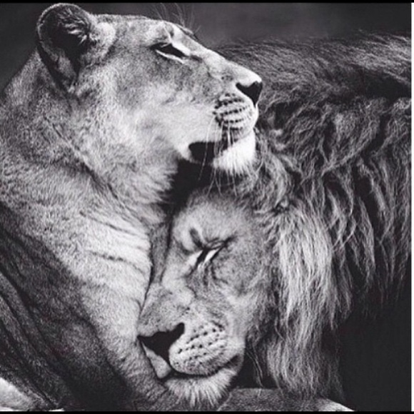 Profile Picture of Samara Wilds (@mara_wilds) on Poshmark