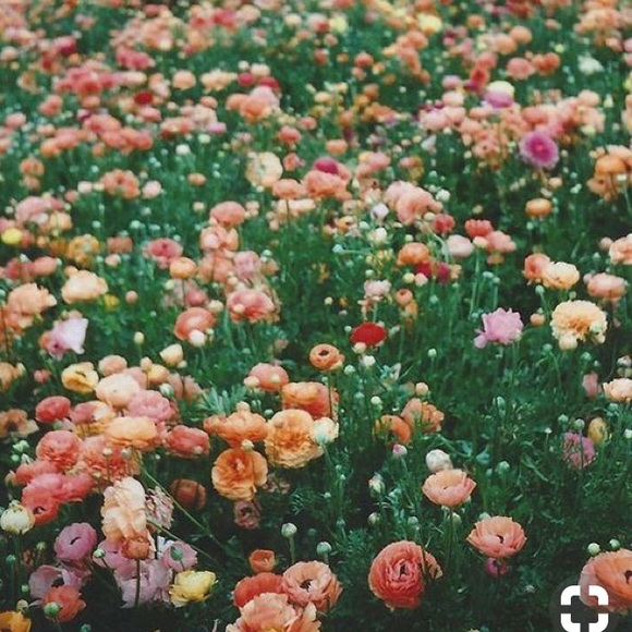 Profile Picture of Olivia Stevenson (@o_stevenson) on Poshmark