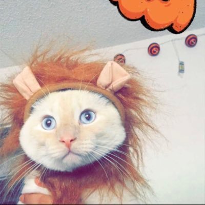 Profile Picture of Boba-fett Pinky Joseph Hernandez (@BobaPinky) on Twitter