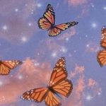 Profile Picture of Dominika Armatowska (@domi_armatowska) on Instagram