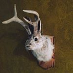 Profile Picture of Andrew Ross (@boomboom1080) on Instagram