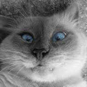 Profile Picture of Alexander Kirichenko (@alexanderkirichenko3302) on Youtube