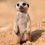 Profile Picture of albert pons😇 (@pinp0ns) on Instagram