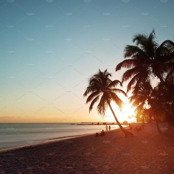 Profile Picture of Robin Barnes (@robinkwynn) on Poshmark