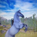 Cassandra Birchbook - Instagram Profile Picture of Cassandra Birchbook (@cassandra_birchbook) on Instagram