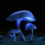 Profile Picture of Alejandro Mayagoitia B (@alexmayagoitiab) on Instagram