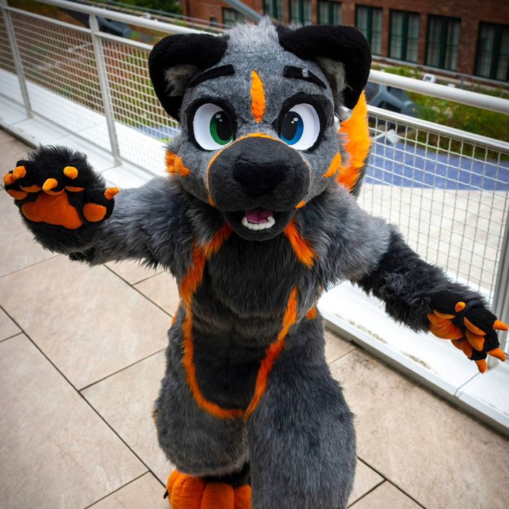 Profile Picture of Forrest (@forrest_the_skunk) on Tiktok