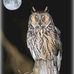 Profile Picture of Christophe Socha (@christophesocha.socha.1) on Facebook