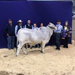 Profile Picture of Ty Hebert️️️️ (@ty.hebert) on Instagram