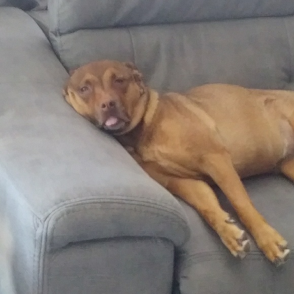 Danielle Allmer - Poshmark Profile Picture of Danielle Allmer (@danielle_allmer) on Poshmark