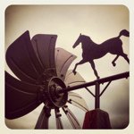 Profile Picture of Clay Wallace (@lcwallace) on Instagram