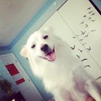Profile Picture of Derrick Huynh (@derrick-huynh-1) on Quora