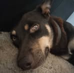 Profile Picture of Darcy Crozier (@darcy.crozier) on Facebook