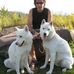 Profile Picture of Carl Cappello (@carl.cappello.5) on Facebook