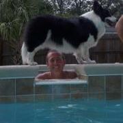 Profile Picture of Terry Brackney (@terrybrackney) on Pinterest