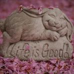 Profile Picture of Candace Mayer (@candace.mayer.14) on Facebook