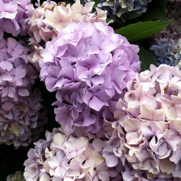 Profile Picture of Jesse Rice-evans (@riceevans) on Poshmark