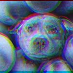 Profile Picture of Jacob Kagan (@memes_from_kagannation) on Instagram