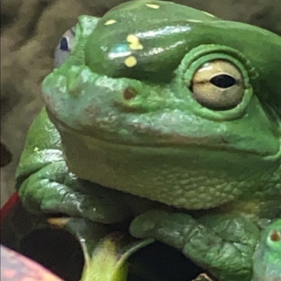 Profile Picture of Michael Sebastian (@michaelsebas915) on Poshmark