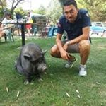 Profile Picture of Andrea Chinello (@elkino_84) on Instagram