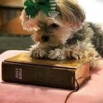 Profile Picture of Ruby Dixon Pittman (@rubydixonpittman) on Instagram