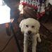 Profile Picture of James Brienza (@james.brienza.5) on Facebook