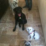 Profile Picture of Tyler Hartung (@tyler.hartung.96) on Facebook