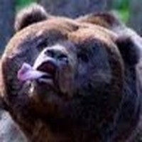 Profile Picture of Connor Raven (@connor-raven-2) on Quora