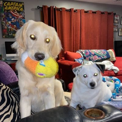 Profile Picture of John Gromkoski (@johnprecise) on Twitter