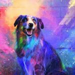 Profile Picture of Matthew Kinsella (@matthew.k.03) on Instagram