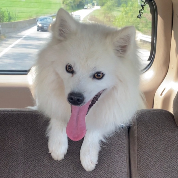 Profile Picture of Hailey Hancock (@haileyspring84) on Poshmark