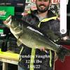 Profile Picture of Brandon Vaughan (@@b_vaughanfishing) on Tiktok