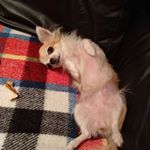 Profile Picture of Silvia Negri (@silvia.negri84) on Instagram