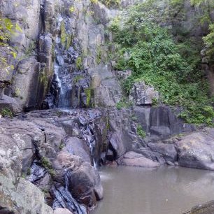 Profile Picture of Manuel Guzman (@e6cf4580fe63412) on Twitter