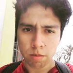 Profile Picture of Luis Saco (@luissacoflores) on Instagram