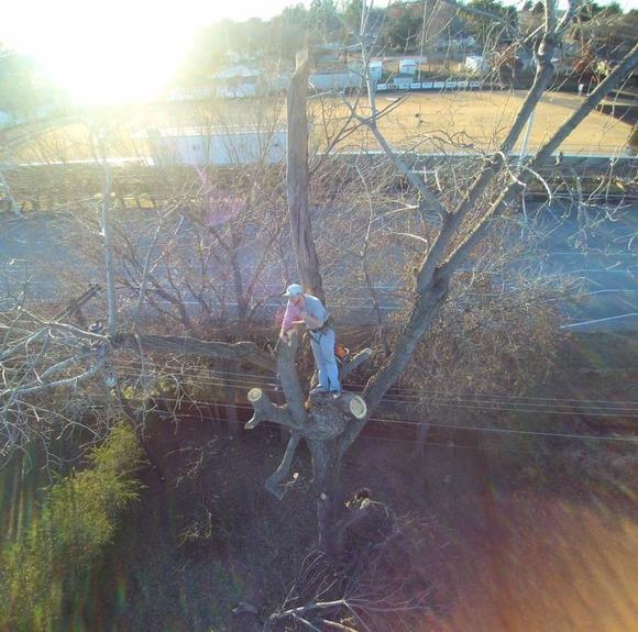 Profile Picture of Josh Conley (@joshcnly) on Poshmark