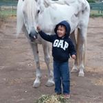 Profile Picture of raul enciso (@enciso.raul) on Instagram