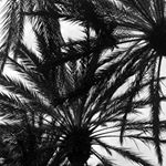 Profile Picture of Michael Twiford🤘🏻 (@southern_routes_truck_group) on Instagram