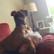 Profile Picture of D Drews (@ddrews3797) on Youtube