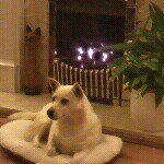 Profile Picture of jimmy,James,Jamie,demi (@jamiedugg1235) on Instagram