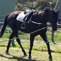 Profile Picture of Amanda Beardmore (@amanda-beardmore-1) on Quora